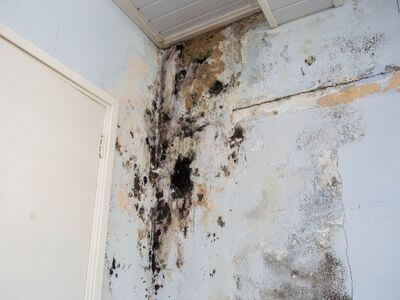 About water damage restoration service - emergency water extraction services experts in Austine